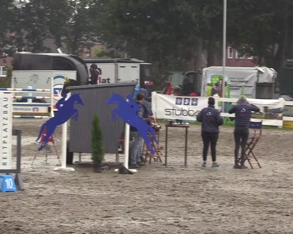Reitturnier Mildstedt 2022