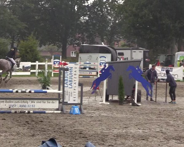 Reitturnier Mildstedt 2022