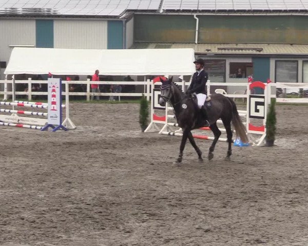Reitturnier Mildstedt 2022