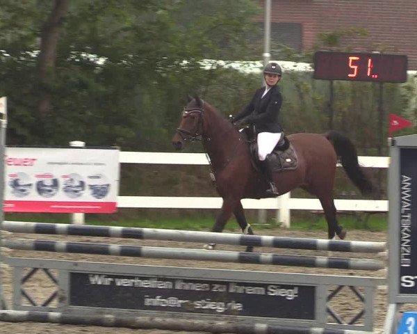 Reitturnier Mildstedt 2022