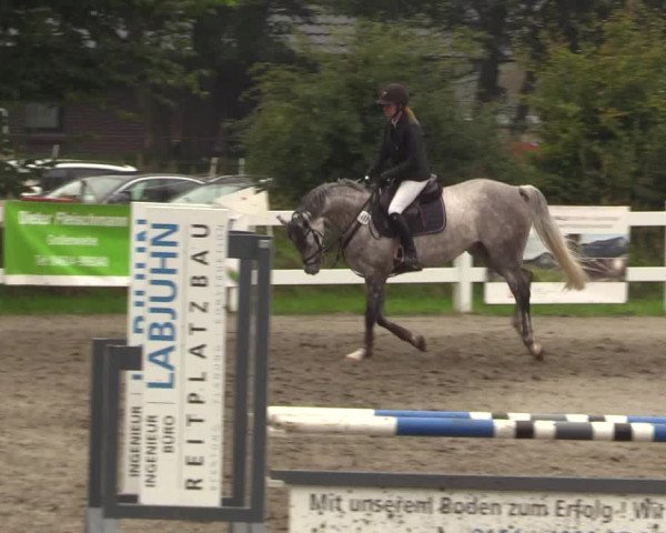 Reitturnier Mildstedt 2022