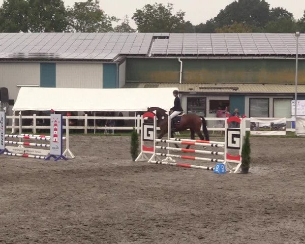 Reitturnier Mildstedt 2022