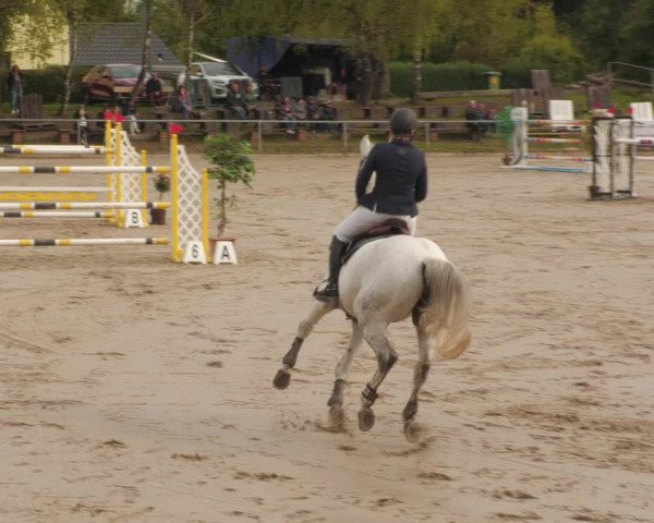 Reitturnier Neunkirchen-City 2022