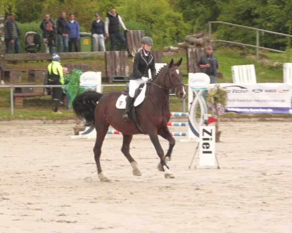 Reitturnier Neunkirchen-City 2022