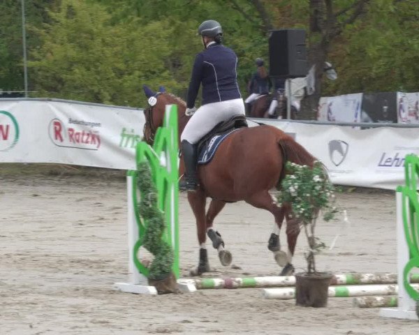 Reitturnier Neunkirchen-City 2022