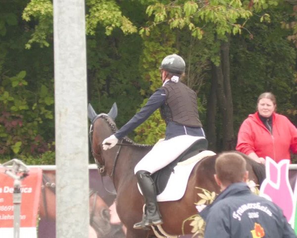 Reitturnier Neunkirchen-City 2022