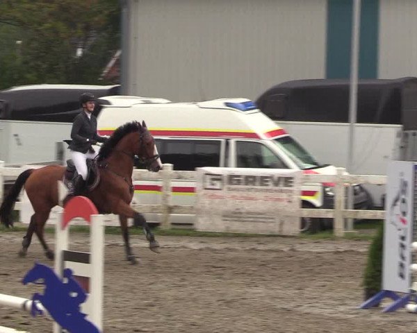 Reitturnier Mildstedt 2022