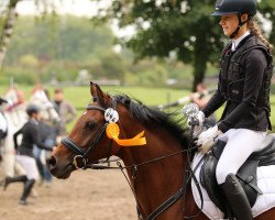 dressage horse Lucky 1682 (Pony without race description, 2009)