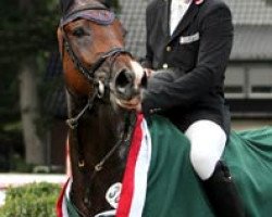 jumper Cornetto 35 (Westphalian, 2006, from Cornet Obolensky)