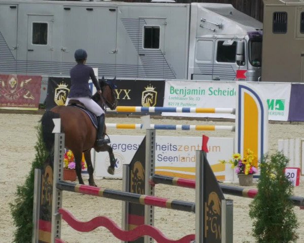 Reitturnier Karlsfeld/Obb. 2022