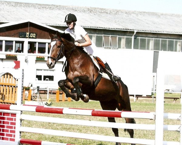 broodmare Daytona (Brandenburg, 2002, from Dionysos 19)
