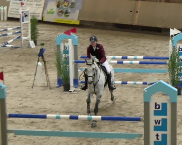 Reitturnier Winterthur 2022