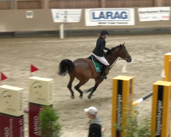 Reitturnier Winterthur 2022
