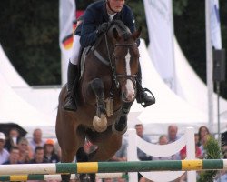 jumper Akku 2 (Westphalian, 2005, from Albatros 86)