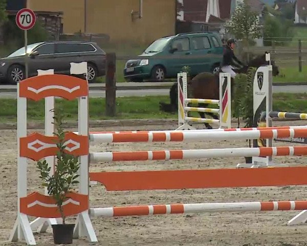 Reitturnier Poxdorf/Ofr 2022