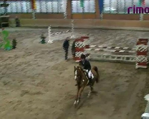 jumper Jessica 150 (German Riding Pony, 1990)