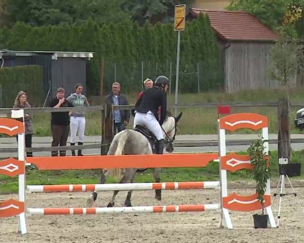 Reitturnier Poxdorf/Ofr 2022