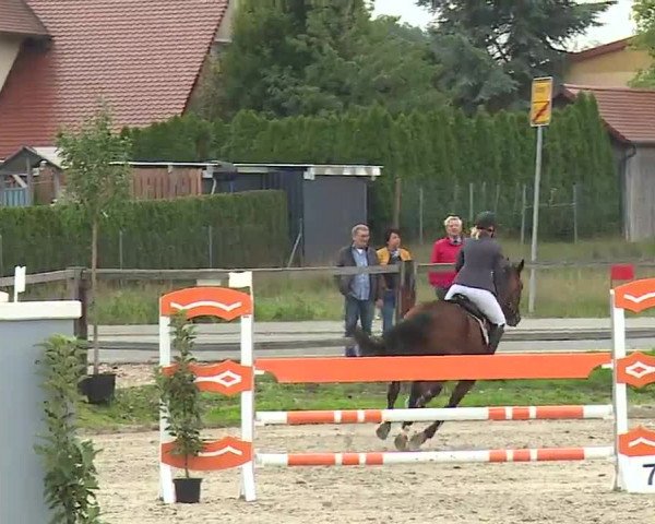 Reitturnier Poxdorf/Ofr 2022