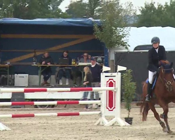 Reitturnier Poxdorf/Ofr 2022