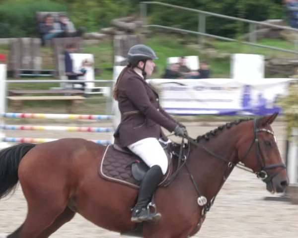 Reitturnier Neunkirchen-City 2022