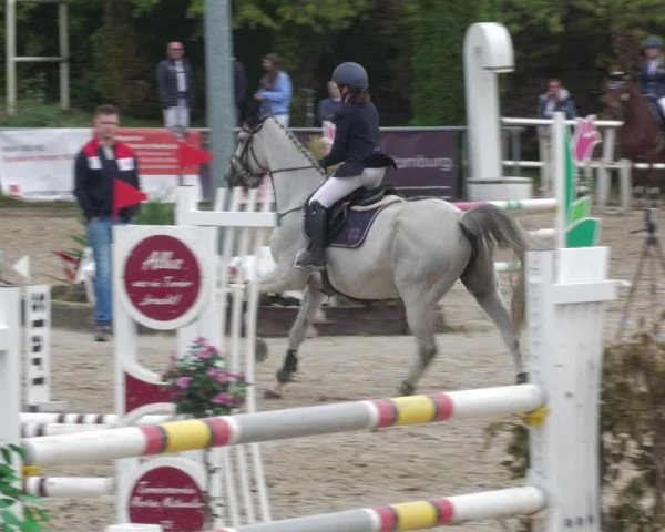 Reitturnier Neunkirchen-City 2022