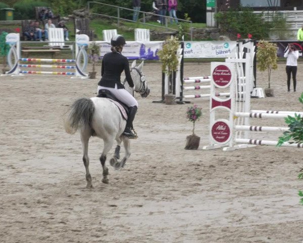 Reitturnier Neunkirchen-City 2022