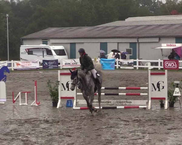 Reitturnier Mildstedt 2022