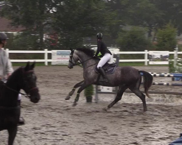 Reitturnier Mildstedt 2022