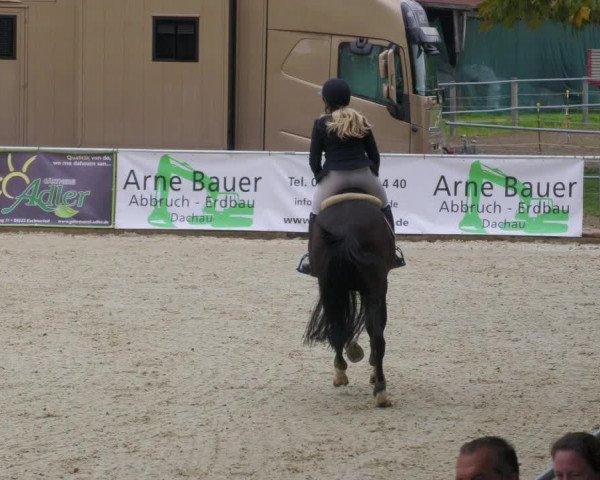 Reitturnier Karlsfeld/Obb. 2022