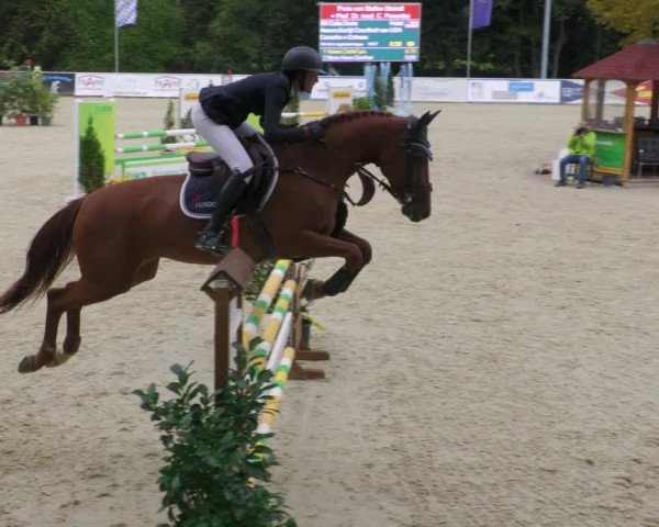 Reitturnier Karlsfeld/Obb. 2022