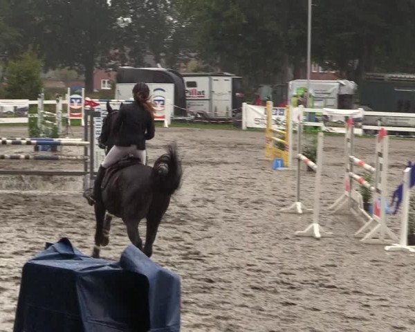 Reitturnier Mildstedt 2022