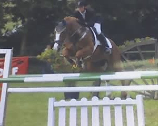 jumper Puerto Ricco (Westphalian, 1993, from Paradox I 1697)