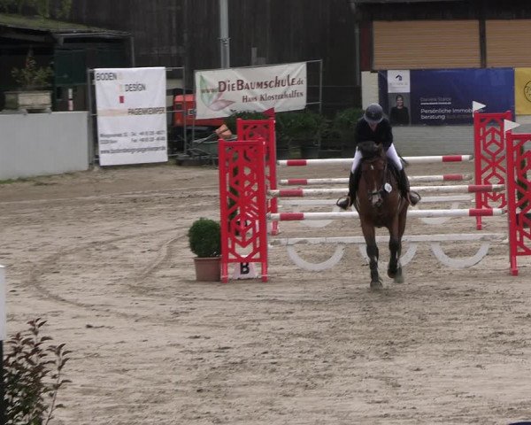 Reitturnier Wachtberg-Adendorf 2022