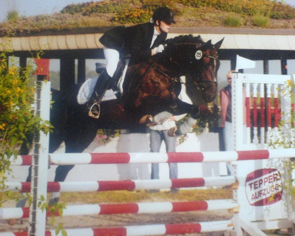 Springpferd Mora Lu (Württemberger, 2002, von Matchos As)
