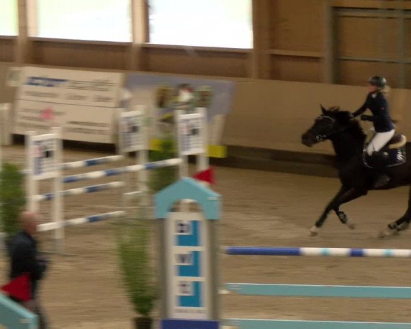 Reitturnier Winterthur 2022