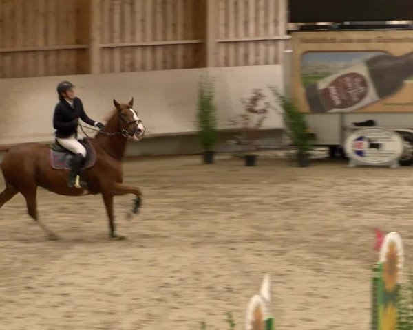 Reitturnier Winterthur 2022