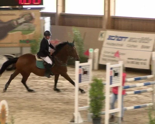 Reitturnier Winterthur 2022