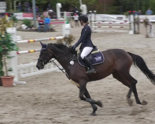 Reitturnier Neunkirchen-City 2022