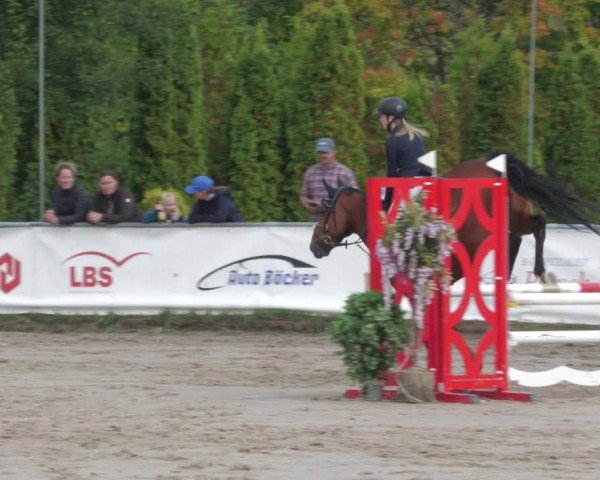 Reitturnier Neunkirchen-City 2022