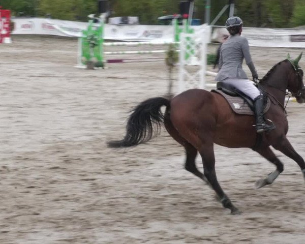 Reitturnier Neunkirchen-City 2022