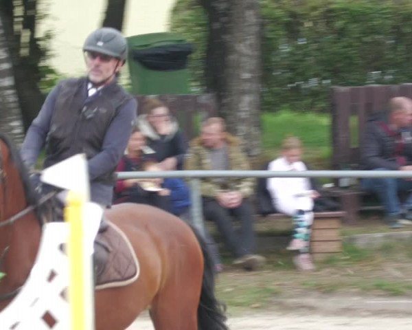 Reitturnier Neunkirchen-City 2022