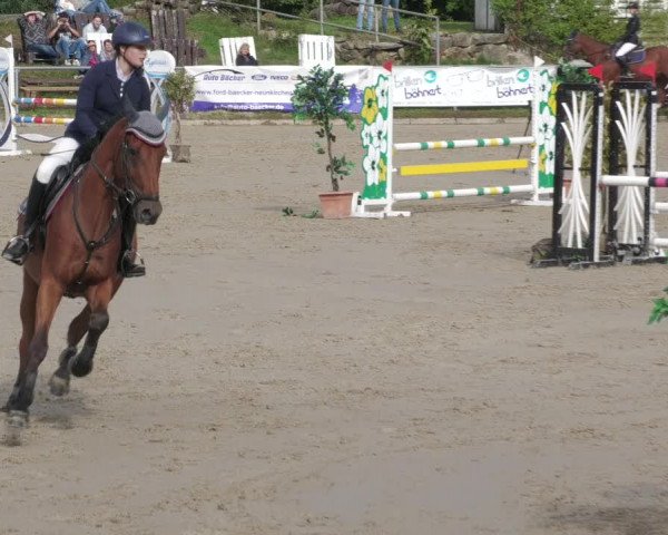 Reitturnier Neunkirchen-City 2022