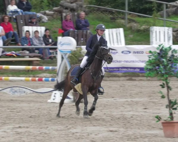 Reitturnier Neunkirchen-City 2022