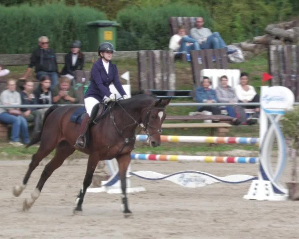 Reitturnier Neunkirchen-City 2022