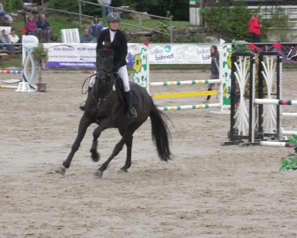 Reitturnier Neunkirchen-City 2022