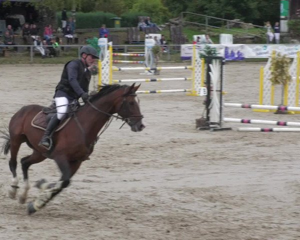 Reitturnier Neunkirchen-City 2022