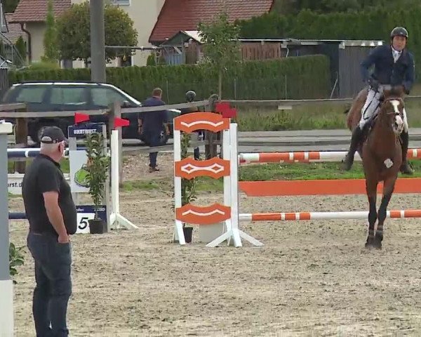 Reitturnier Poxdorf/Ofr 2022