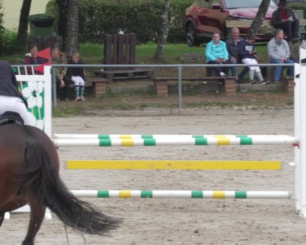Reitturnier Neunkirchen-City 2022