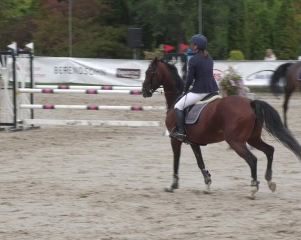 Reitturnier Neunkirchen-City 2022