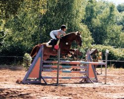 horse Gambler F 2 (Zweibrücken, 1994, from German Classic)